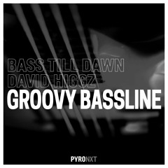 Bass Till Dawn & David Higgz - Groovy Bassline (PYRO NXT RELEASE)