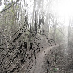 дрожь перешла в рыдания w/loathlimb