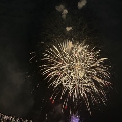 Firework
