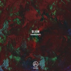 Premiere: Slam "Let Go" - Soma