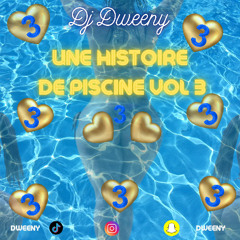 DJ DWEENY  - HISTOIRE DE PISCINE VOL.3