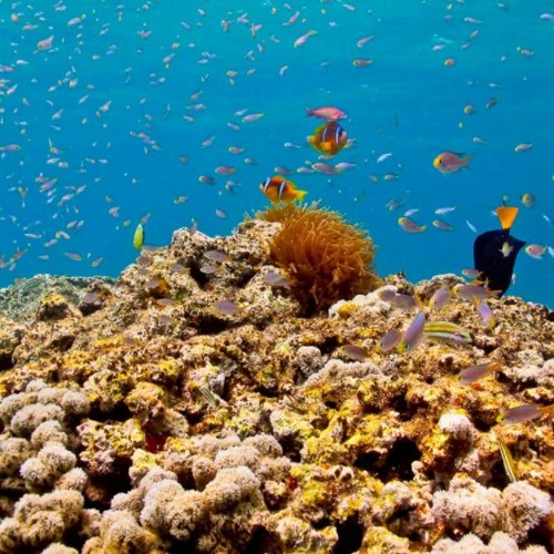 Atl Smook Atl SmookタイプBe loading background (FREE DOWNLOAD)