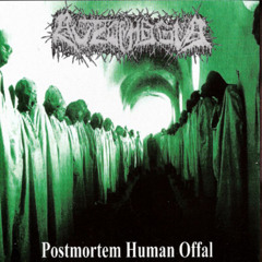 Self Disembowelment