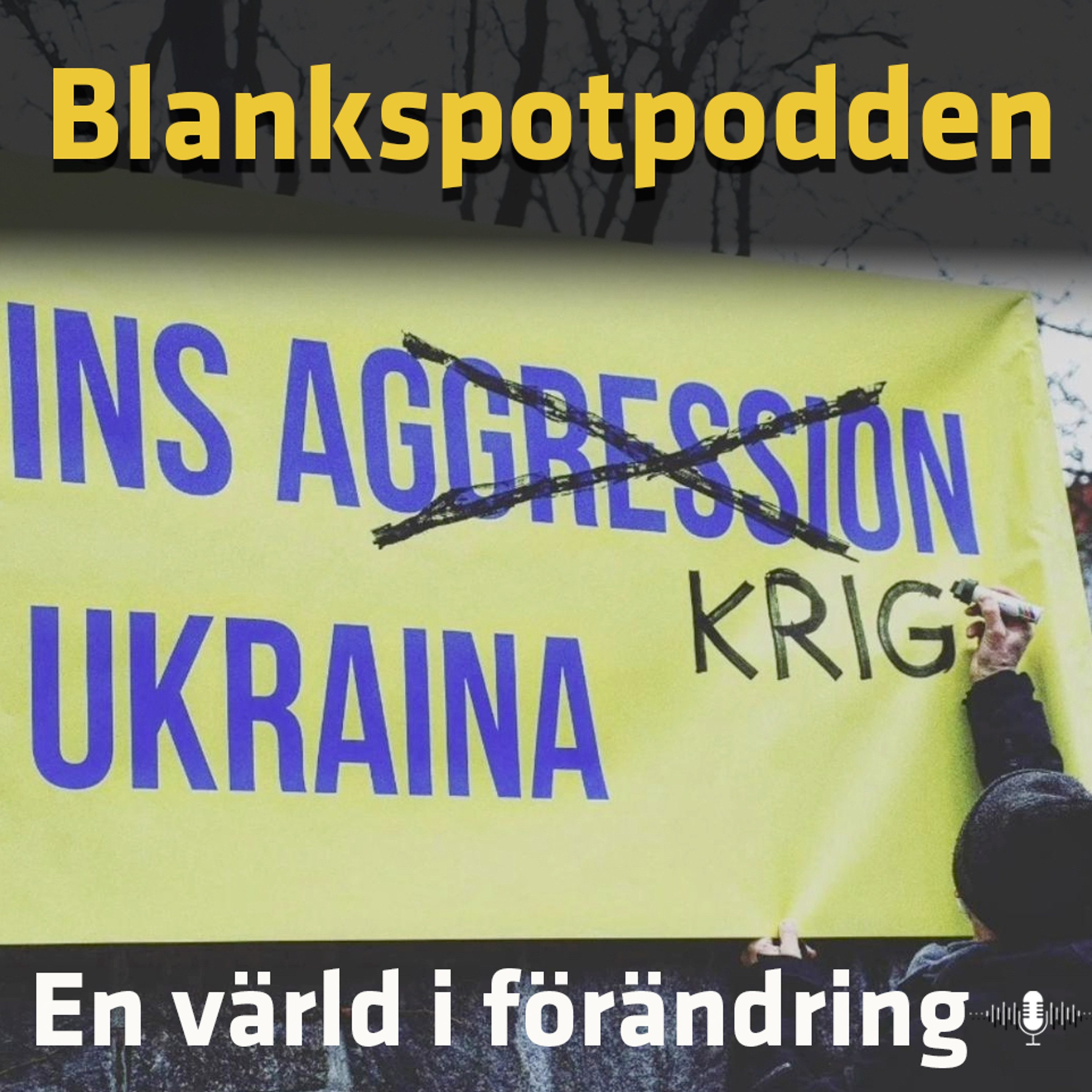 Blankspotpodden
