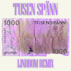 Tjuvjakt & Fanny Avonne - Tusen spänn [LINDBOM REMIX]
