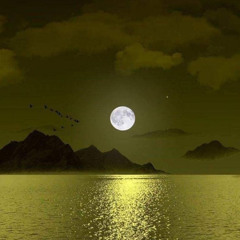 SHVMVR - WEST (Prod By. 6tracks)