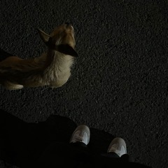 tired