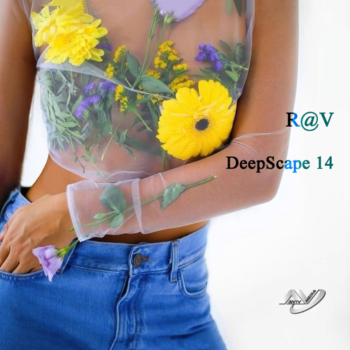 DeepScape 14
