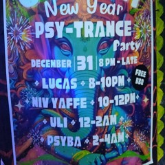 New Years Eve 2024 - Goa Trance set