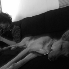 Aguila + r.ss @ Counterbalance (2020.12.13)