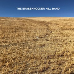 3 Chords and The Truth