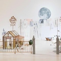 Where have all the flowers gone