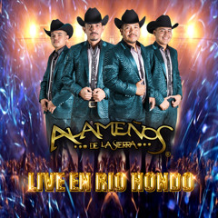 El coco rayado (En Vivo)