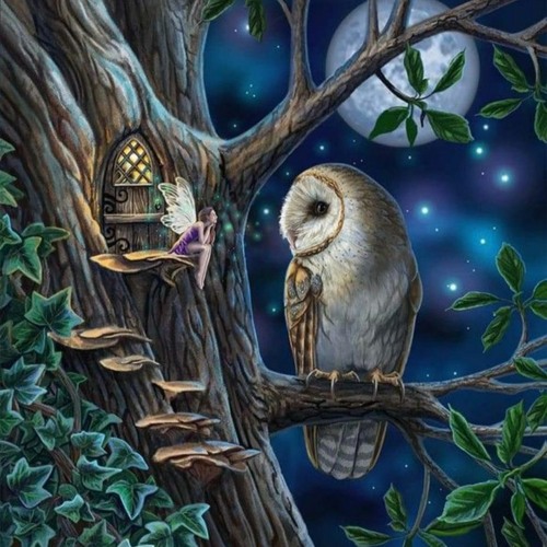 12.02.23_Dream with exit Wounds