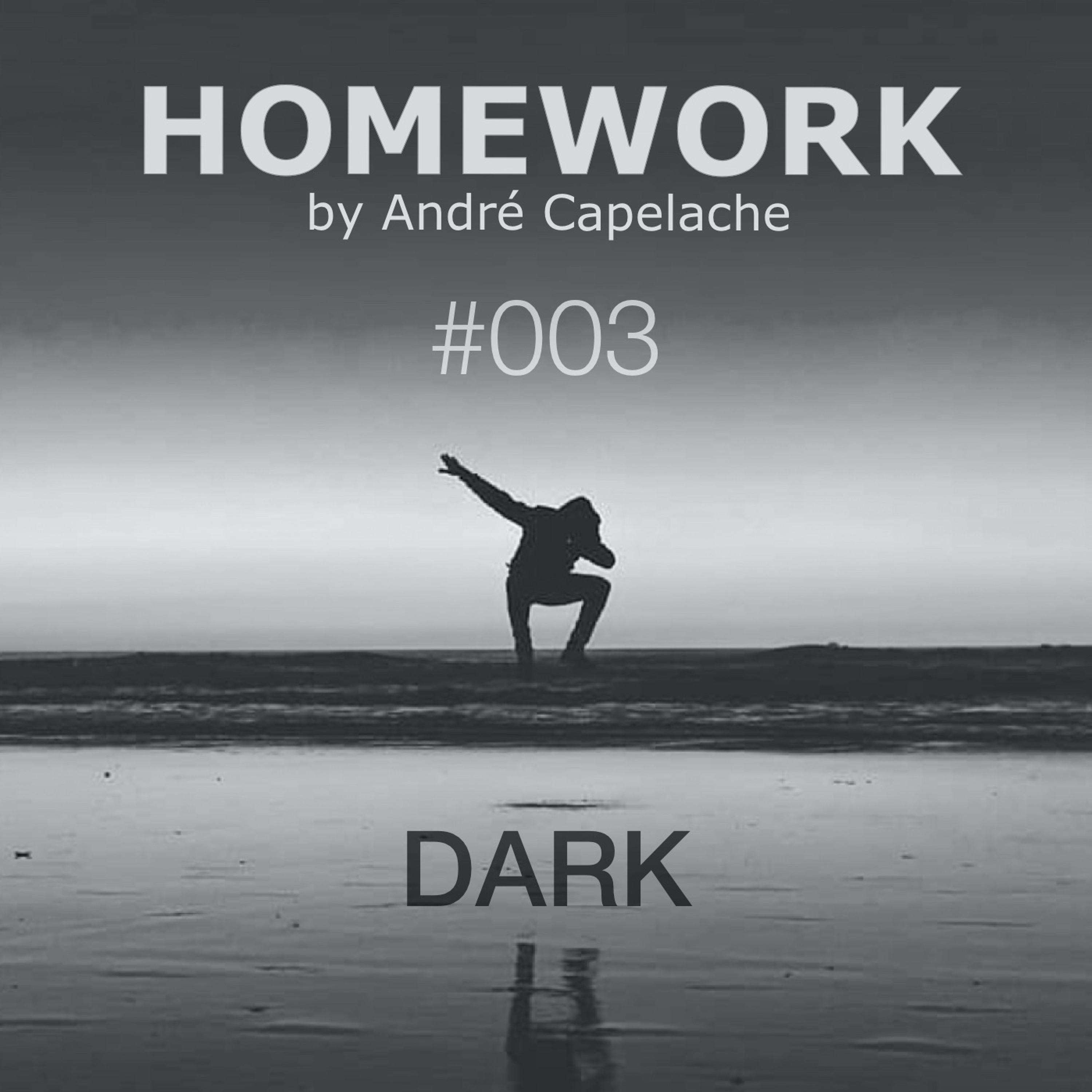 André Capelache HOMEWORK