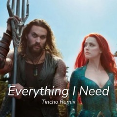 Skylar Grey - Everything I Need (Tincho Remix)