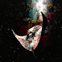 el bosque en llamas - Mantarraya (Live Set)