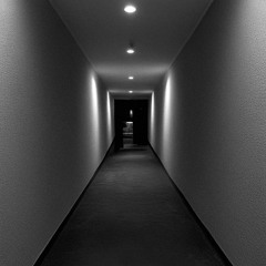 The corridor of opinion (feat. Brian)
