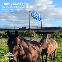Hugo de L'Eau w/ Leischen - Trancecast (Avril 2025)