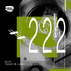 Amber Muse Radio Show #222 with Taran & Lomov // 26 Feb 2021