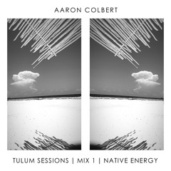 AC TULUM MIX 1 - Native Energy