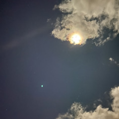 in the light
