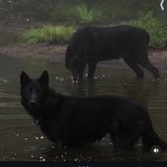 silent - feel like almighty p. prodglosky + brocylbeats (haha pt2).mp3