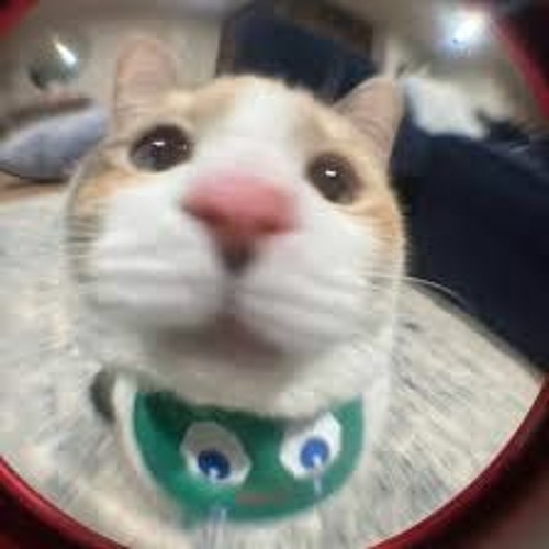 Stream Making music but failing to realize that it all sounds the same