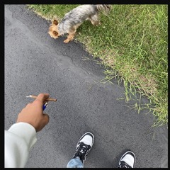 StayHigh(Prod.DIEREDDXDIEHARDT00)(Official Audio)