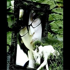 Заметки-Психа