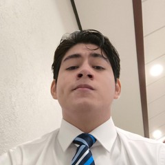 WhatsApp Audio 2024 - 07 - 28 At 1.25.24 PM