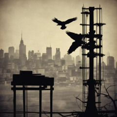 오감도 (Crow’s Eye)