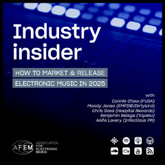 AFEM Industry Insider - How To Market & Release Electronic Music in 2025