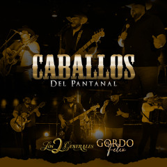 Caballos del Pantanal (En Vivo)