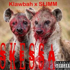 Klawbah340 x HP SLIMM-SKESSA