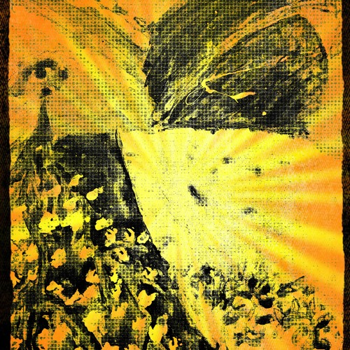 Space Roller