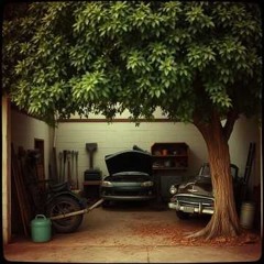 Our  Backyard Mechanic