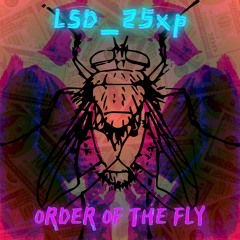 Order Of The Fly