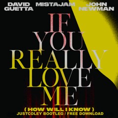 David Guetta, Mista Jam & John Newman - If You Really Love Me (How Will I Know) [JustColey Bootleg]