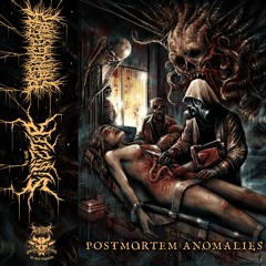 Sinizter & PeelingFlesh-POSTMORTEM ANOMALIES