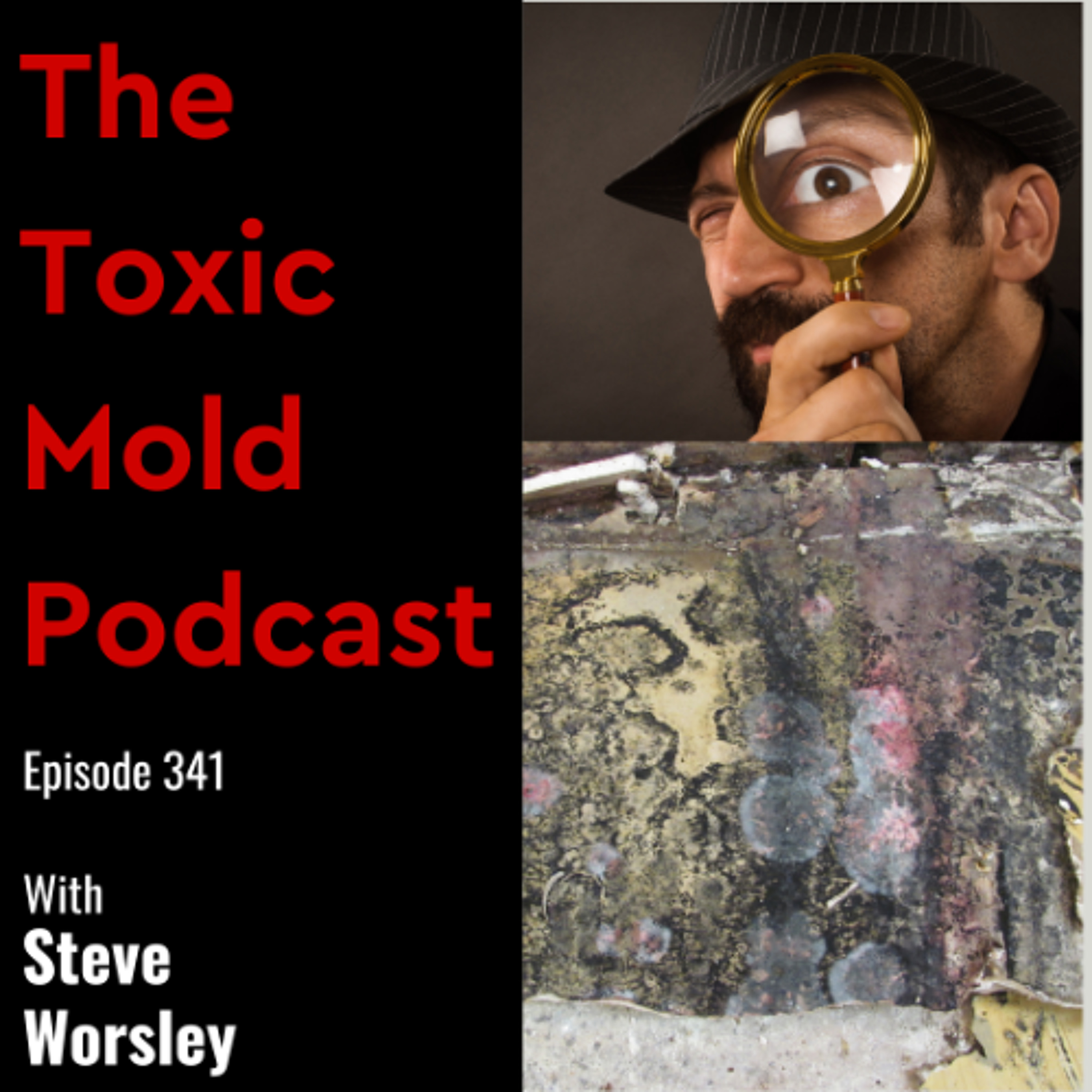 EP 341: You Can't Find the Black Mold, What's Next?