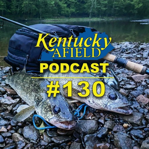 Podcast graphic showing fish on a shoreline
