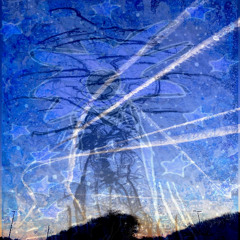 paysage.ondulations