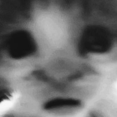 WU SERIES #4: The Tall Grasses - 15/10/2025