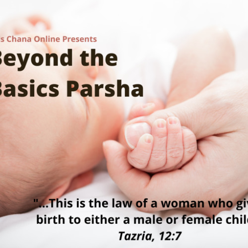 Stream Tazria Metzora 5 01 2025 Beyond The Basics What Does This