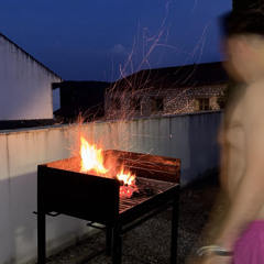 Leña al mono. Vol 8