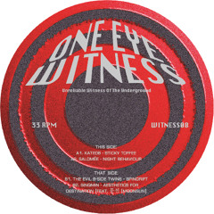 V/A - WITNESS08 - Snippets
