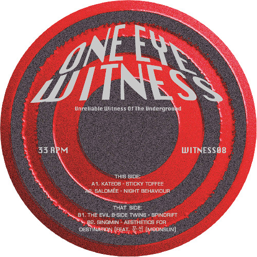 V/A - WITNESS08 - Snippets