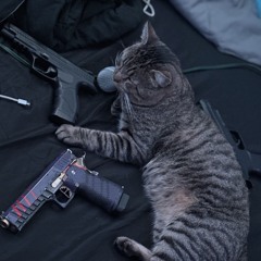 we used to play with fidget spinners now we play with glocks