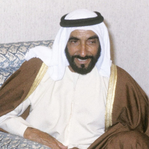 سلطان بن الشيخ زايد كم عدد